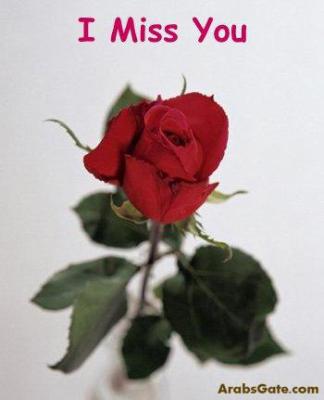 i miss you